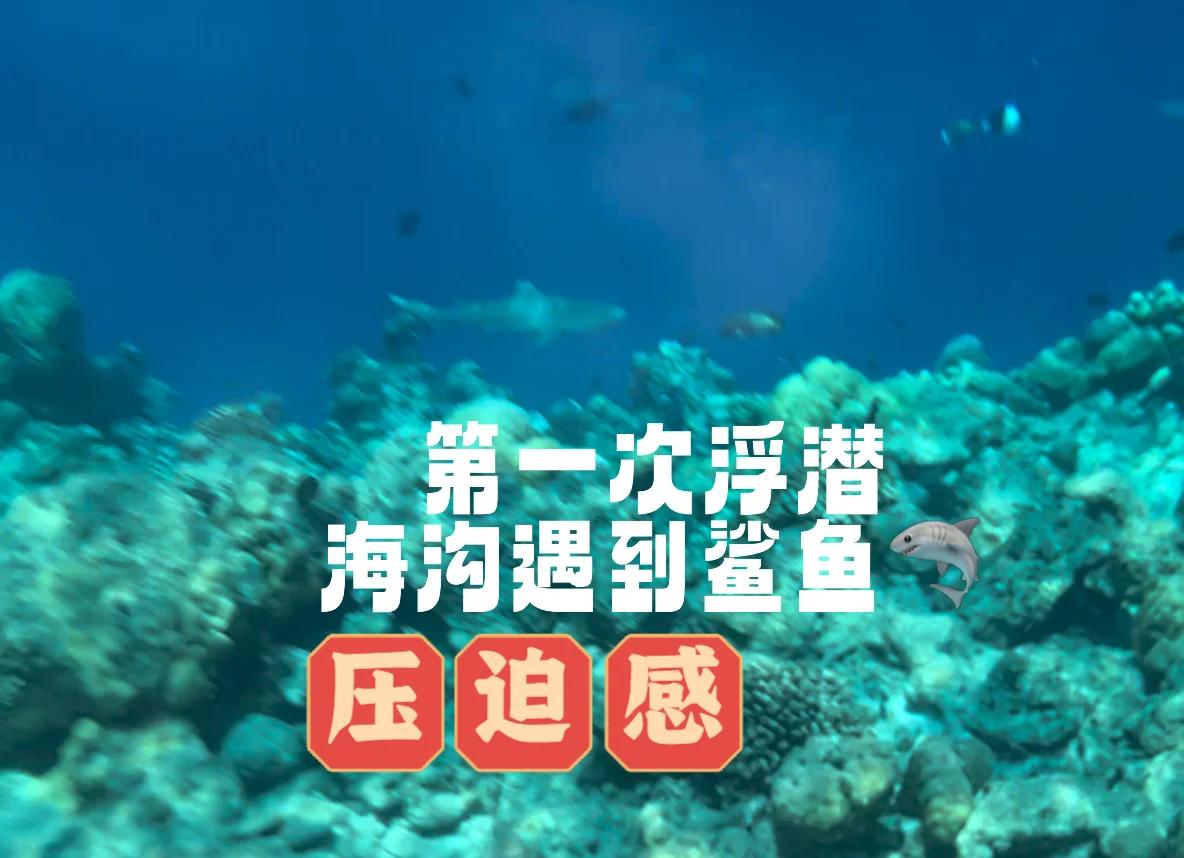 九游娱乐官网-浮潜项目惊险刺激，传来好消息