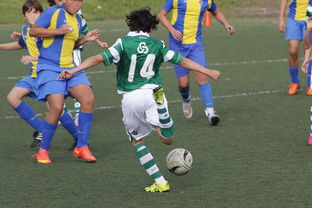 九游娱乐官网登录网址-帕尔梅拉斯焦点战役引爆球迷期待