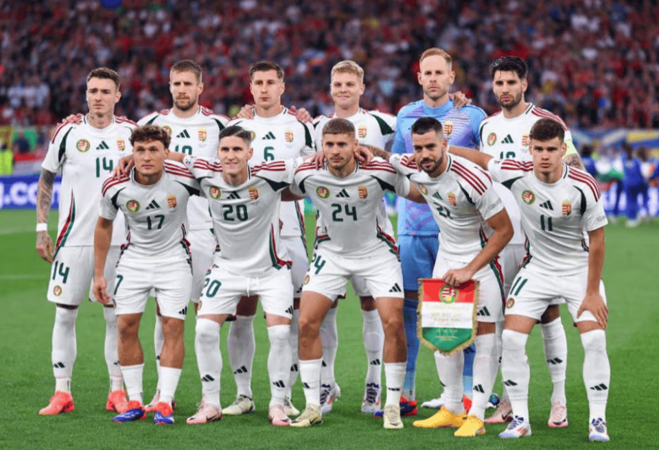 九游娱乐馆-波兰队主场战胜匈牙利队，积分领先